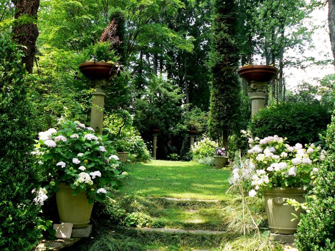 Ozzie Johnson's Garden